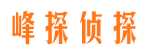 江北区市调查公司